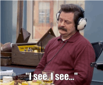 Ron Swanson I See I See Gif